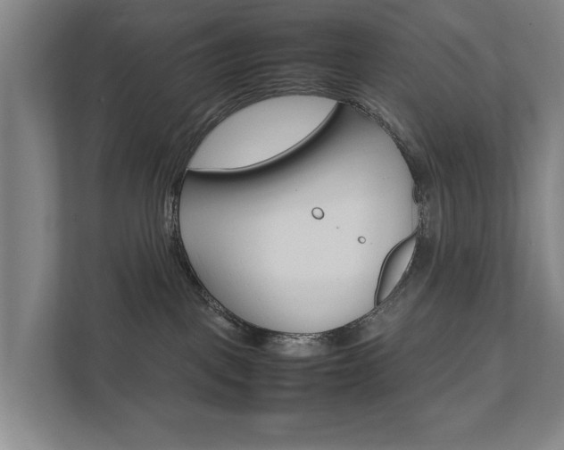 X0000111840093200907231048