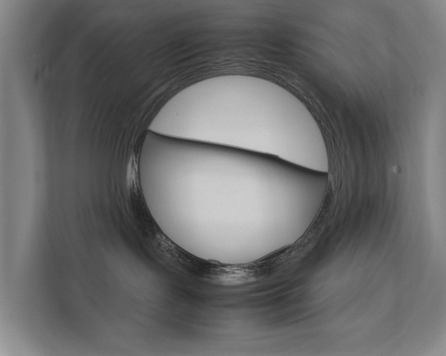 X0000111840095200907231048