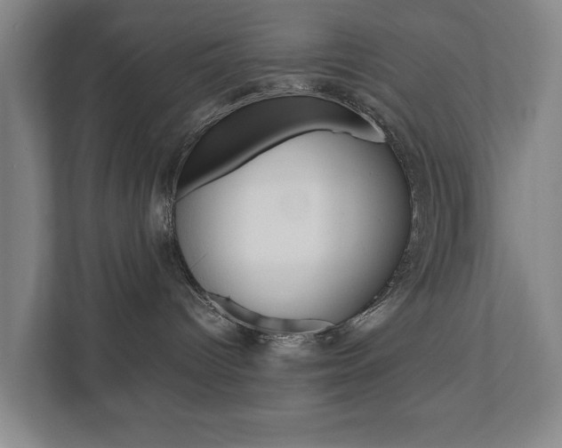 X0000111840096200907231048