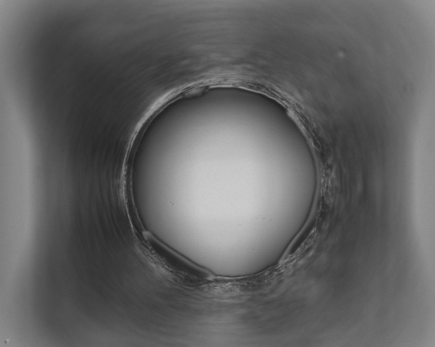 X0000111840100200907231047