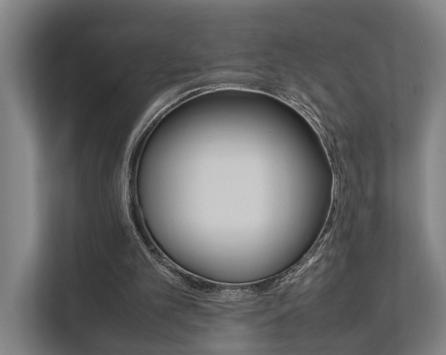 X0000111840101200907231047