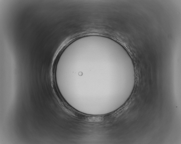 X0000111840102200907231047