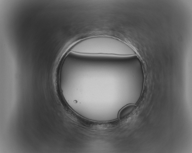 X0000111840103200907231047