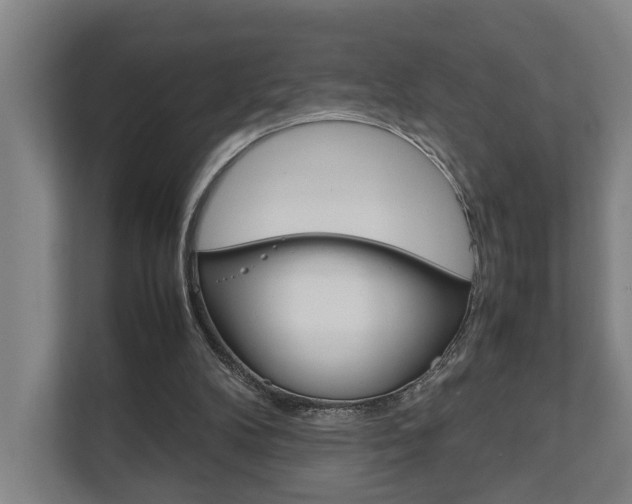 X0000111840104200907231047
