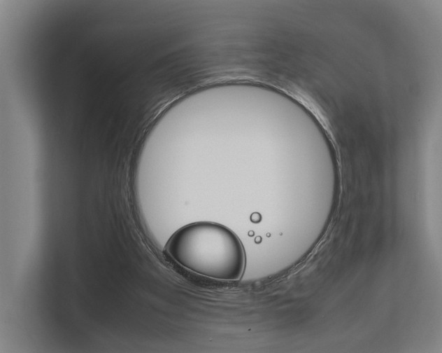 X0000111840105200907231047
