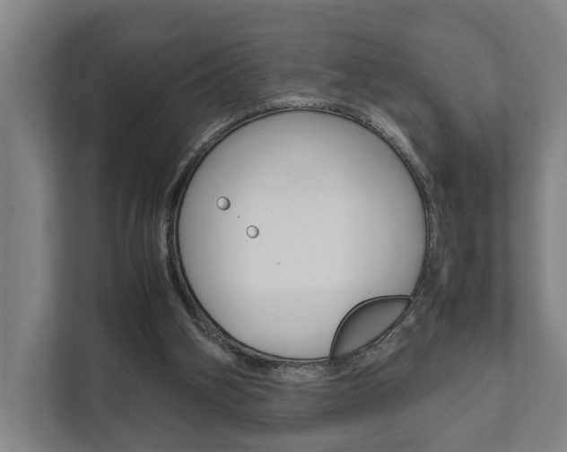X0000111840106200907231047