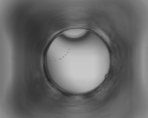 X0000111840107200907231047