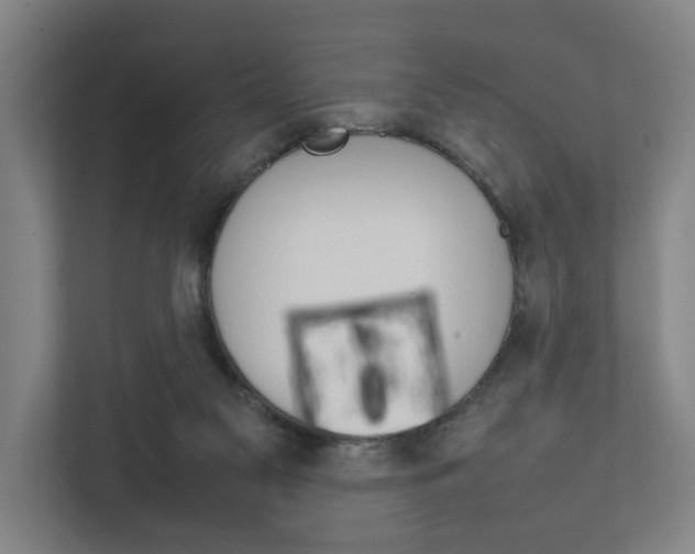 X0000111840117200907231047