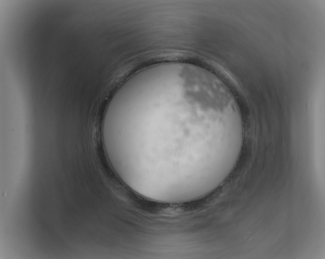 X0000111840119200907231047