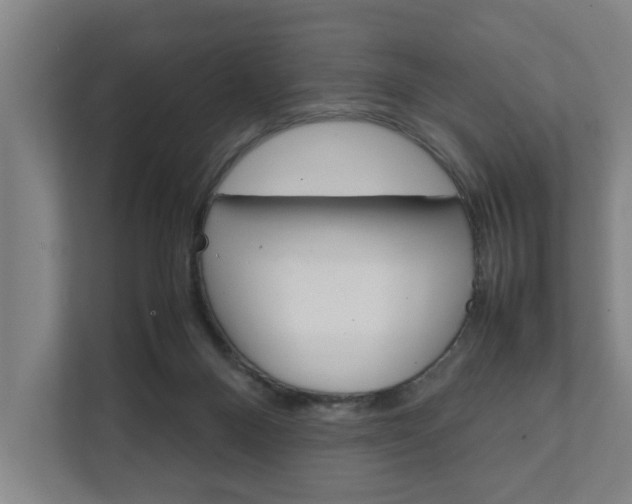 X0000111840120200907231047