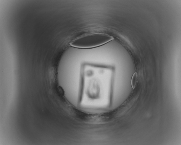 X0000111840121200907231047