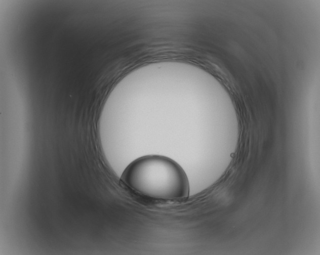 X0000111840125200907231047