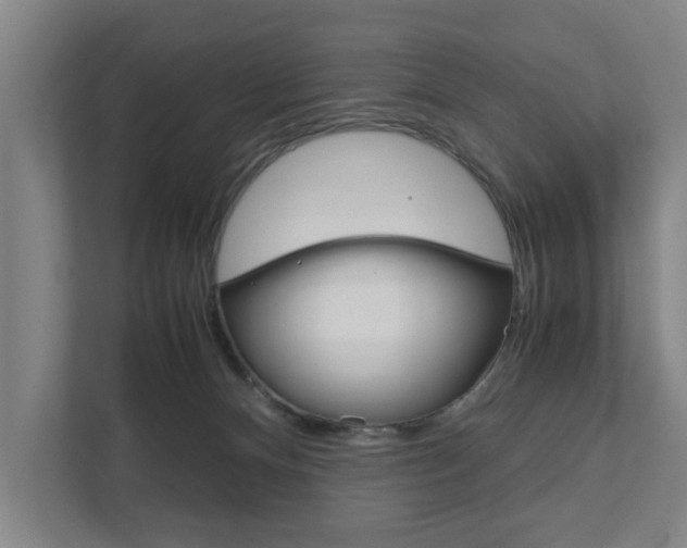 X0000111840128200907231047