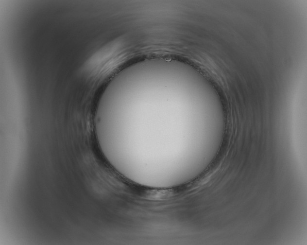 X0000111840135200907231047