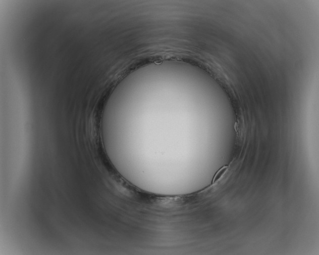 X0000111840136200907231047