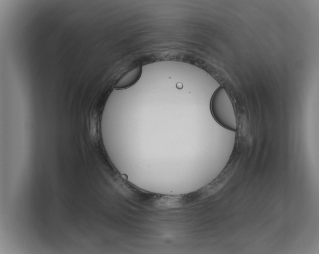 X0000111840138200907231047