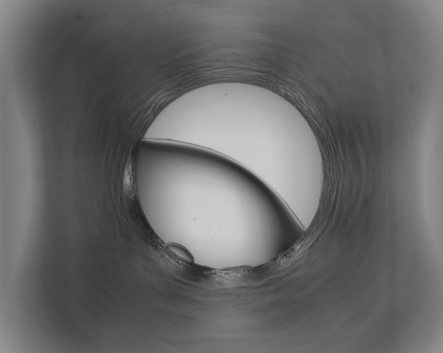 X0000111840143200907231047