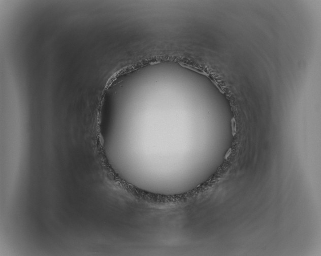 X0000111840144200907231047