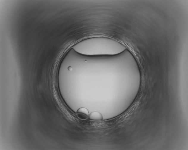 X0000111840145200907231046