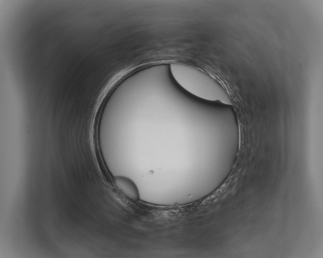 X0000111840147200907231046
