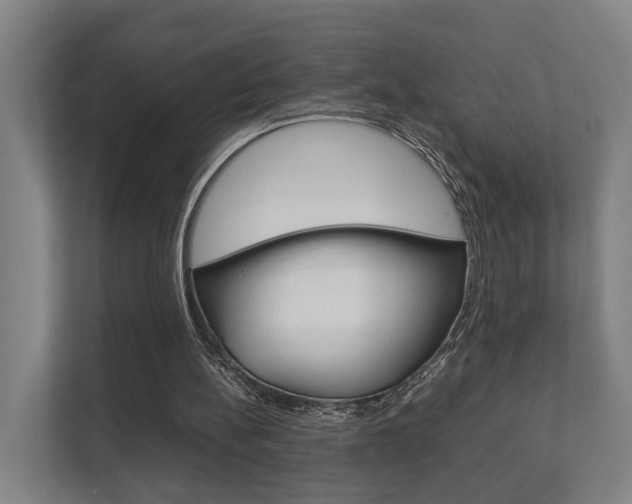 X0000111840148200907231046