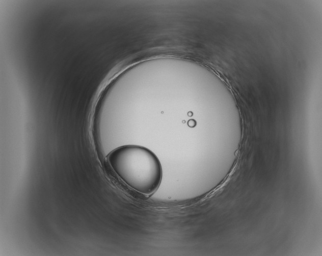 X0000111840150200907231046