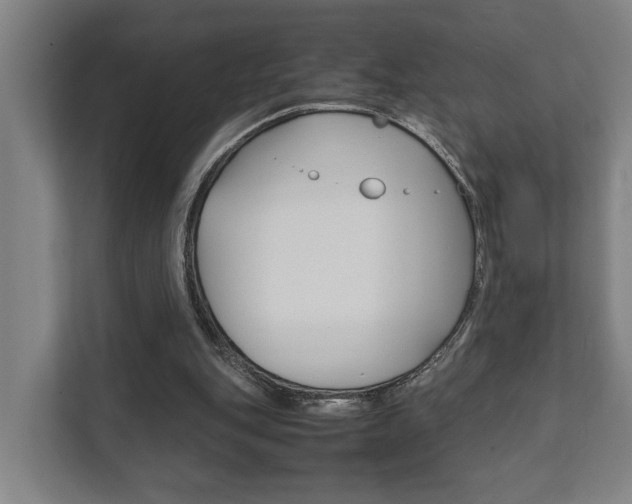 X0000111840151200907231046