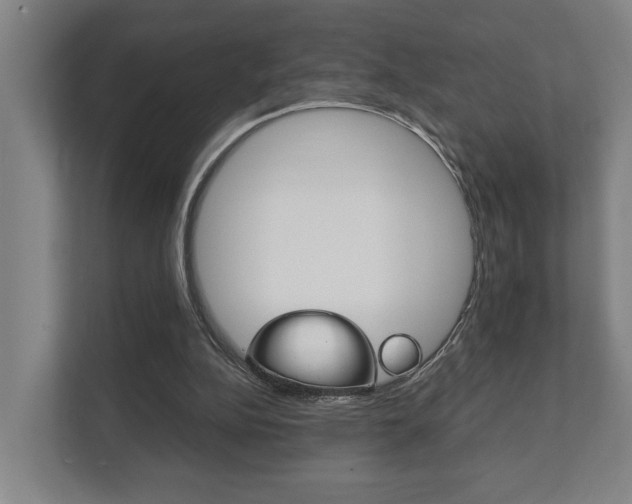 X0000111840152200907231046
