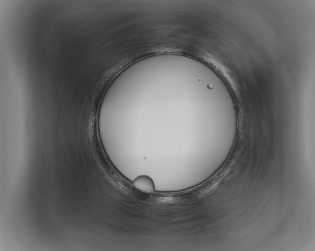 X0000111840153200907231046