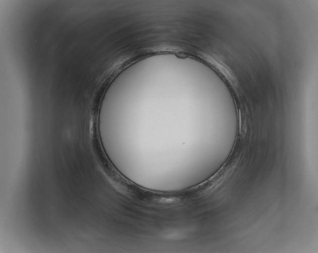 X0000111840157200907231046