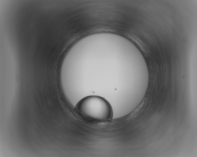 X0000111840158200907231046