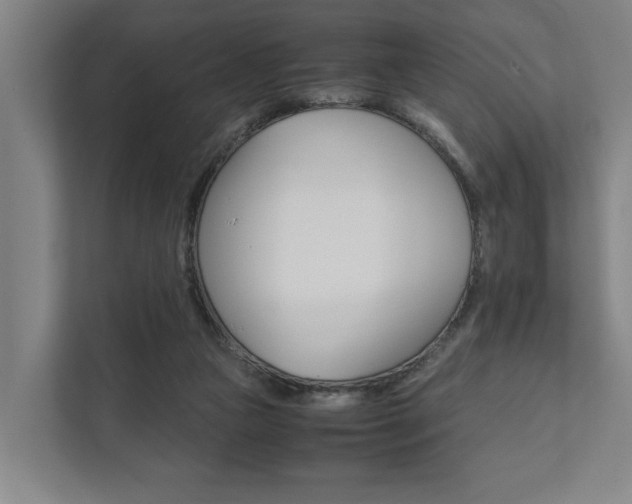X0000111840161200907231046