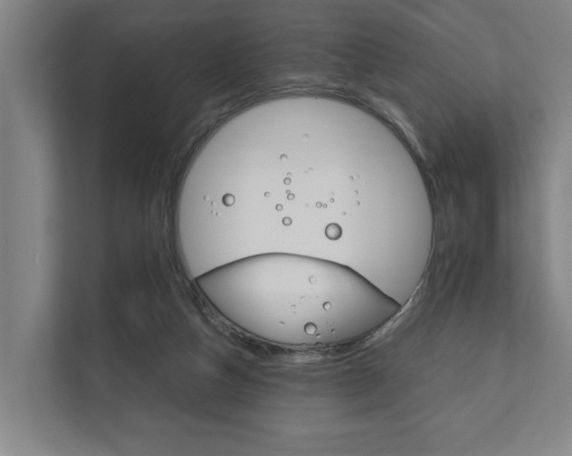 X0000111840162200907231046