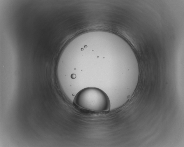 X0000111840164200907231046
