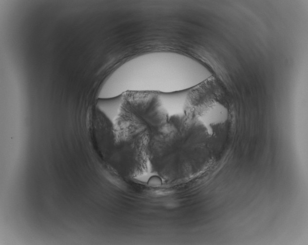 X0000111840165200907231046
