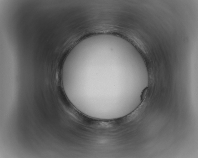X0000111840166200907231046