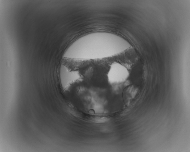 X0000111840169200907231046