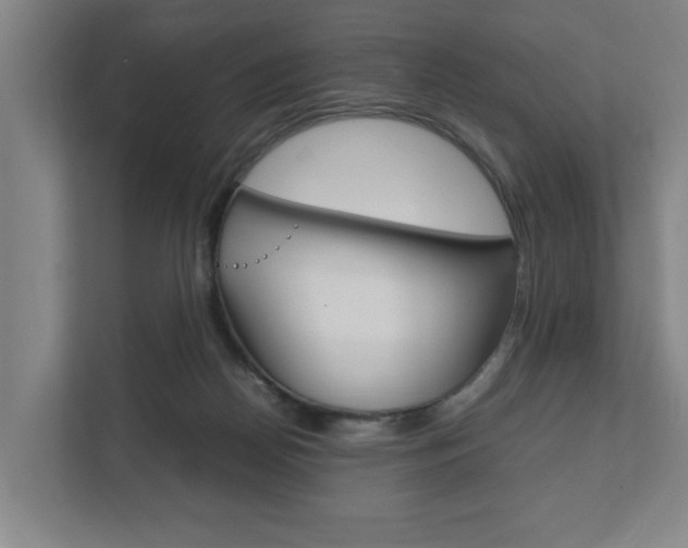 X0000111840170200907231046