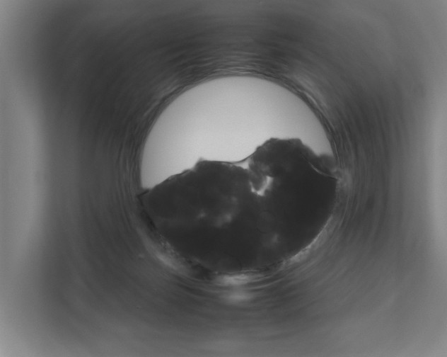 X0000111840171200907231046