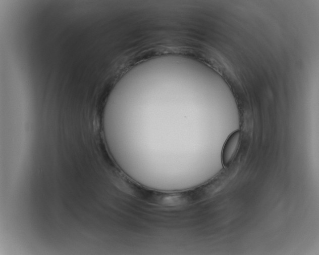 X0000111840173200907231046