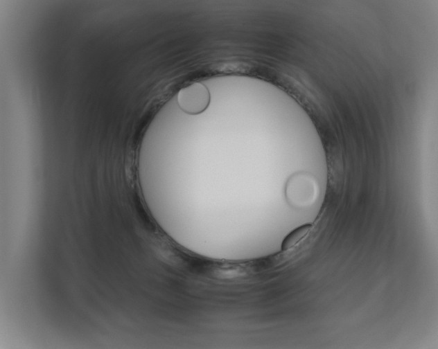 X0000111840175200907231046