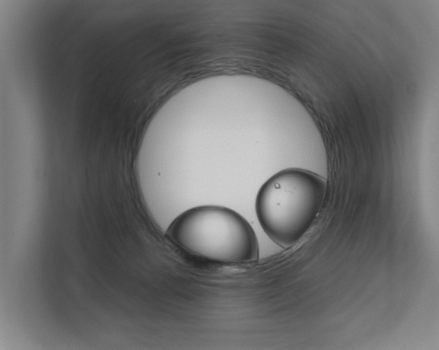 X0000111840176200907231046