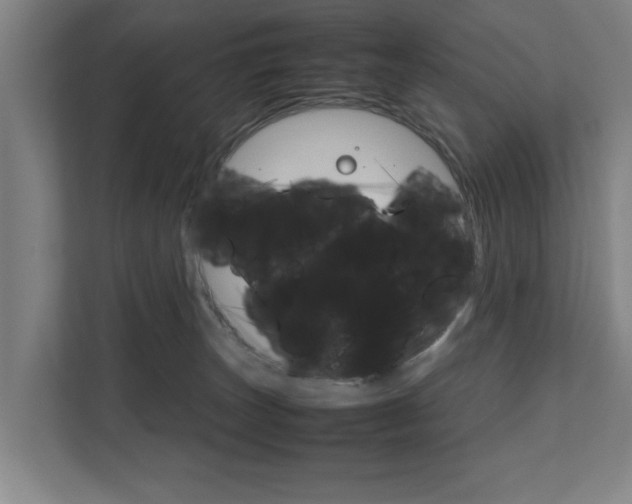 X0000111840179200907231046