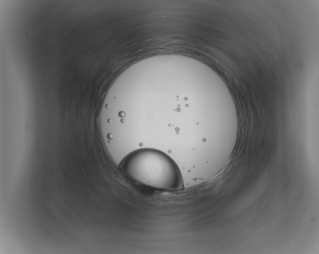 X0000111840180200907231046