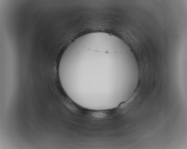 X0000111840183200907231047