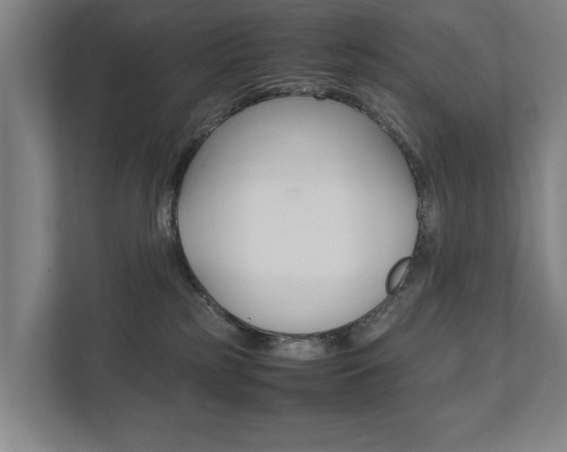 X0000111840185200907231047