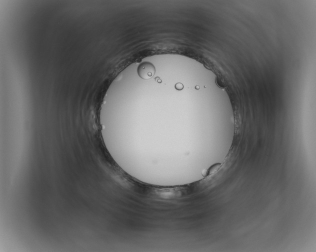 X0000111840187200907231047
