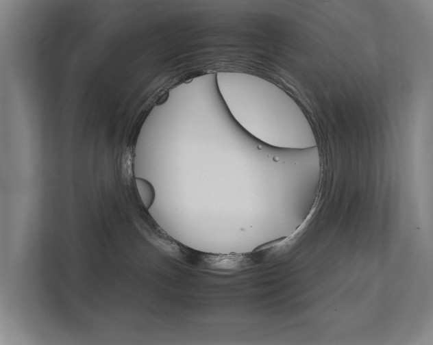 X0000111840191200907231047