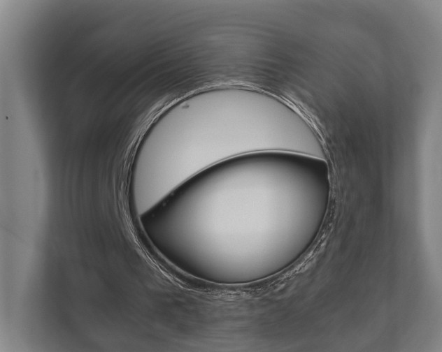 X0000111840193200907231046