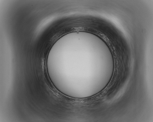 X0000111840194200907231046